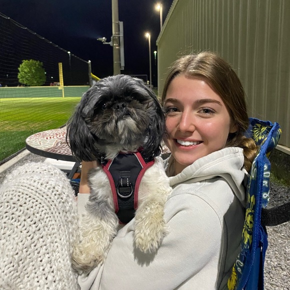 Meet your Posher, Ava - Picture 2 of 6